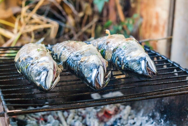 Mackerel Fish Prepared on the Grill in Smoke Stock Photo Image of close, fried 77074692