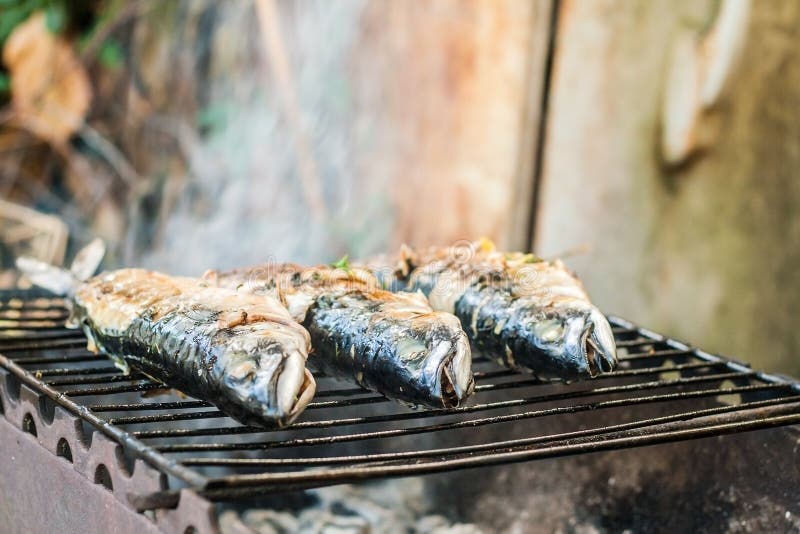 Mackerel Fish Prepared on the Grill in Smoke Stock Photo Image of coal, natural 77074710