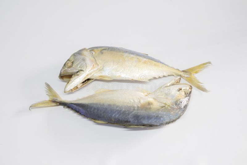 Mackerel fish to steam stock photo. Image of platoo 180402782