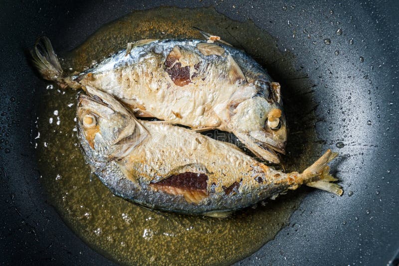 Mackerel Fried on a Teflon Pan in the Kitchen Stock Image Image of