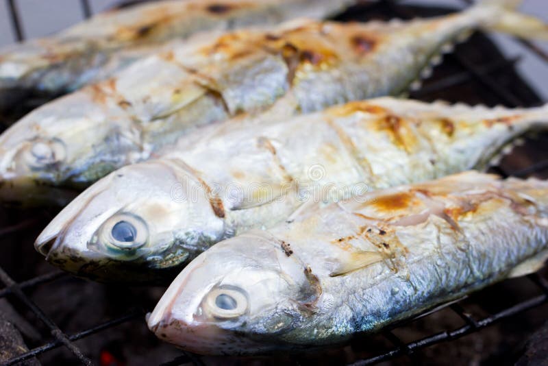 Mackerel. stock photo. Image of meal, grilling, cooking 36596510