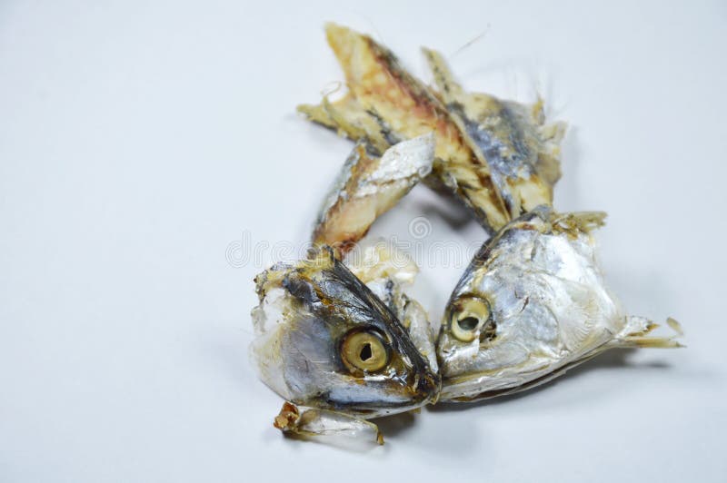 Mackerel Head Leaf Over Cat Feeding White Background Stock Photos Free & RoyaltyFree Stock