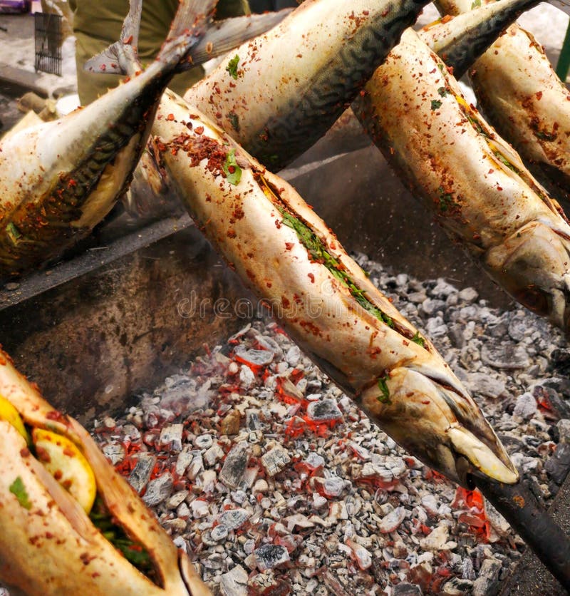 Mackerel meat fish stock photo. Image of ingredient, freshness 42669982