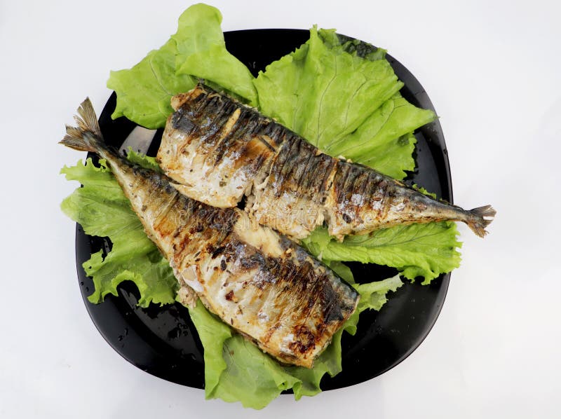 Mackerel is Roasted on an Electric Grill. Grilled Fish with Lemon and