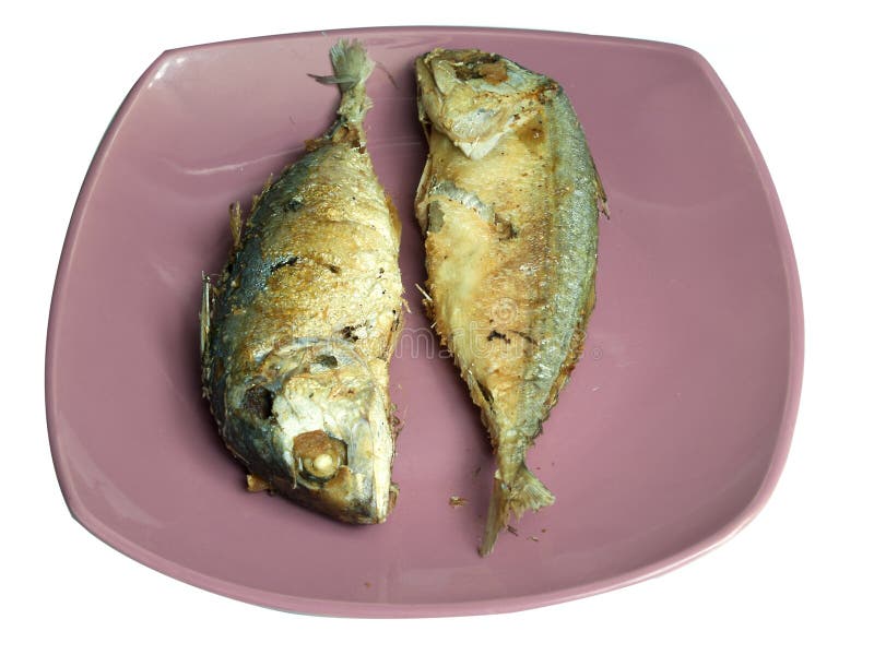 Mackerel steamed stock photo. Image of fried, steamed 61287820