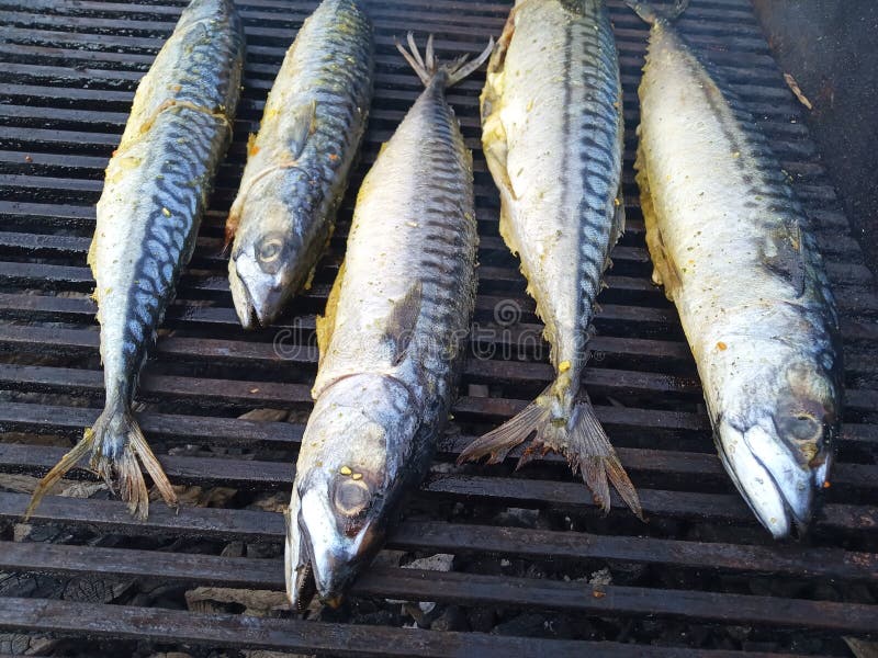 Cavalas foto de stock. Imagem de marisco, fundo, prato 38204176