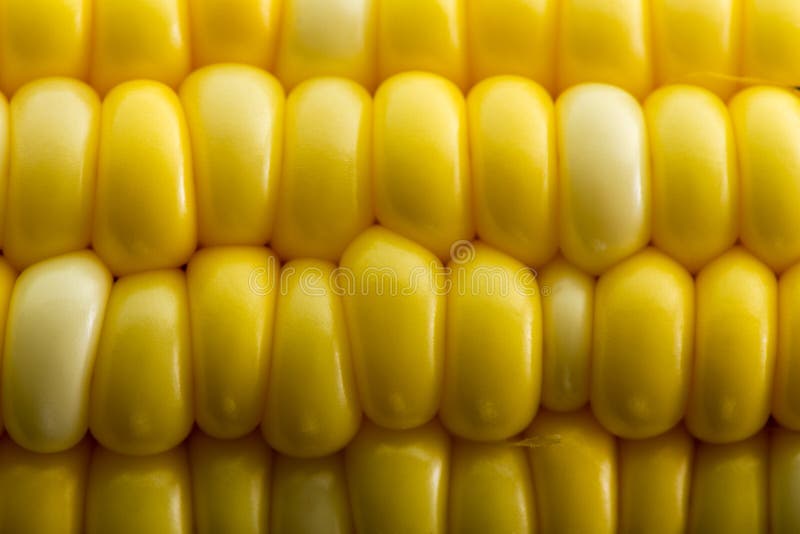 Macro background texture of fresh corn kernels