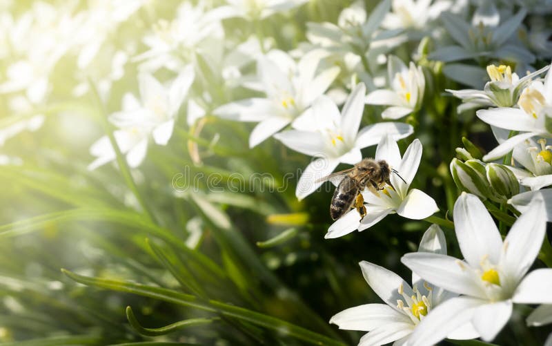 751 766 Horizontal Summer Photos Free Royalty Free Stock Photos From Dreamstime 751 766 Horizontal Summer Photos Free Royalty Free Stock Photos From Dreamstime
