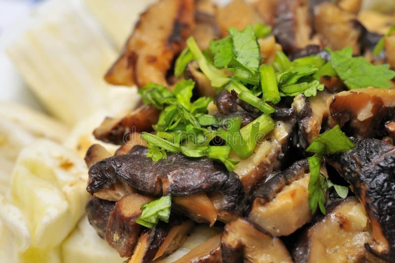 Macro of Chinese dish royalty free stock images