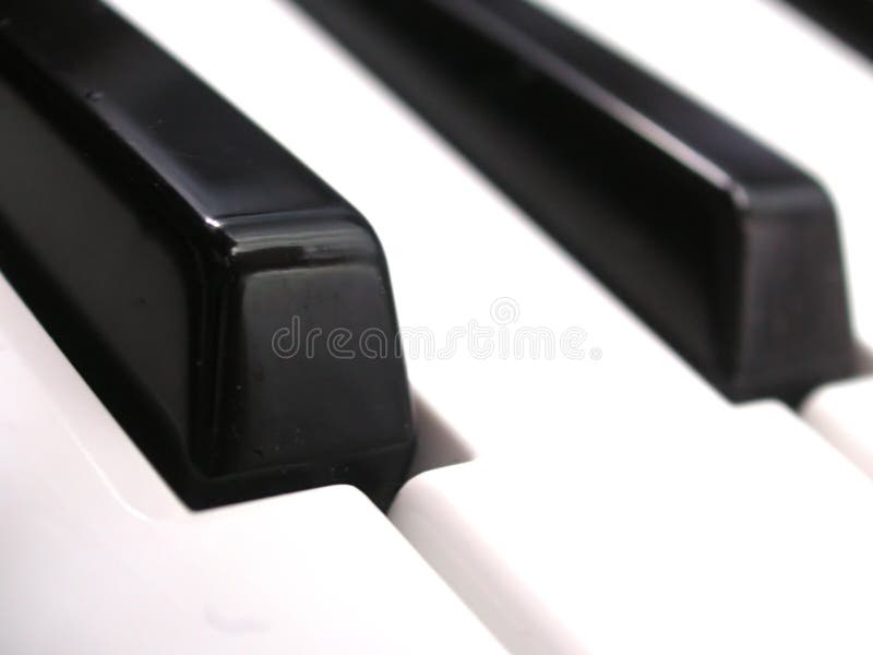 Macro clavier image libre de droits