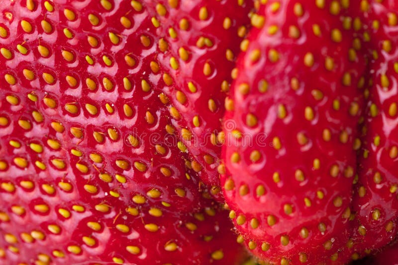 Part of a fresh strawberry. Macro Lens. Part of a fresh strawberry. Macro Lens.