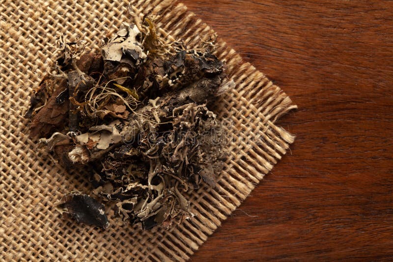 Macro close-up of Organic  Kalpasi or Dagad phool or black stone flower or chhabila on the wooden top background and jute mat.