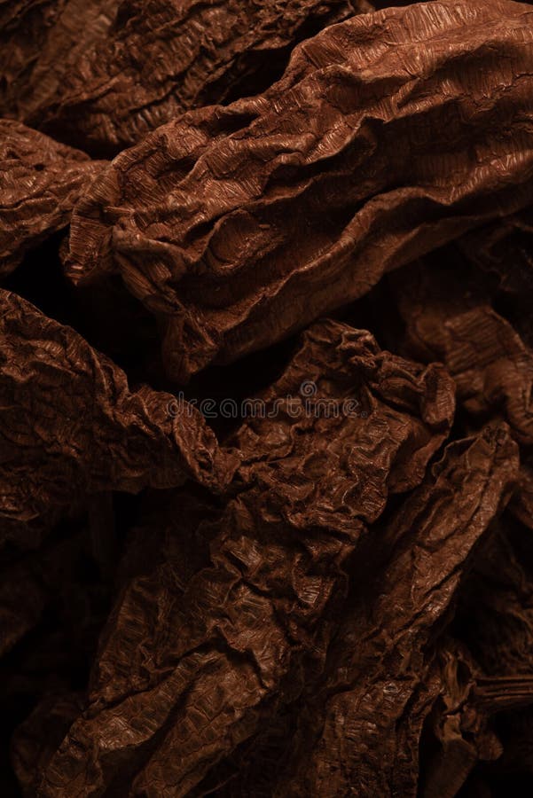 Chile chipotle stock photo. Image of pepper, cooking 27030162