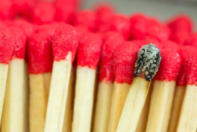 Studio macro close up of red headed match sticks standing upright with one single isolated burnt black match. Studio macro close up of red headed match sticks standing upright with one single isolated burnt black match