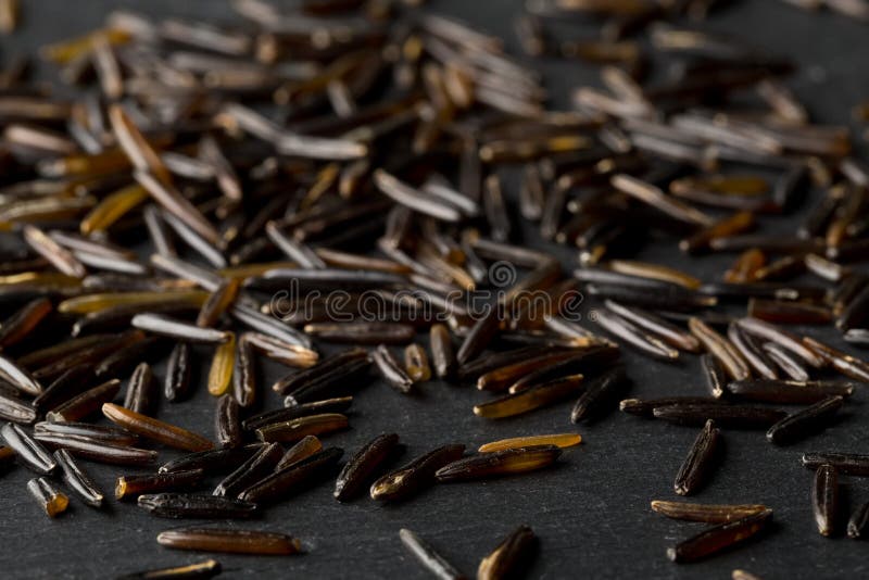 Macro Close Up of Uncooked, Raw, Black Wild Rice Grains on Dark Stone