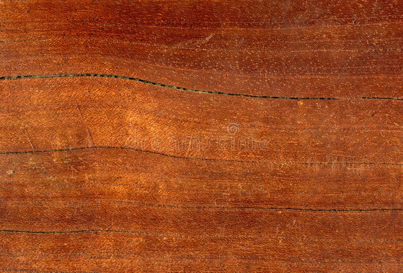 Macro close up wood detail royalty free stock photography