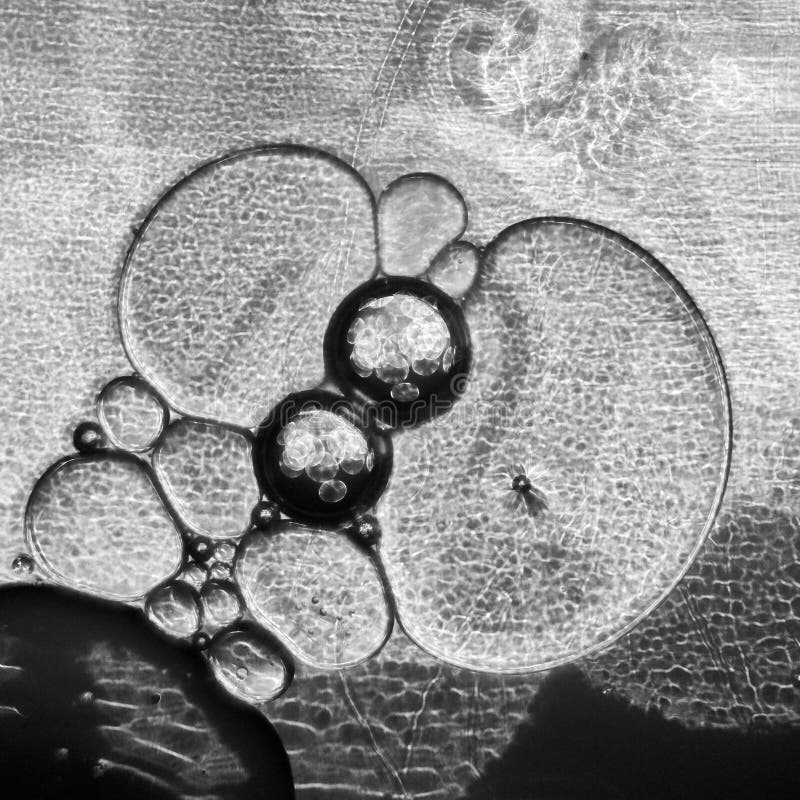 Macro Closeup Photos of Oil Drops in Water with Backlighting Stock