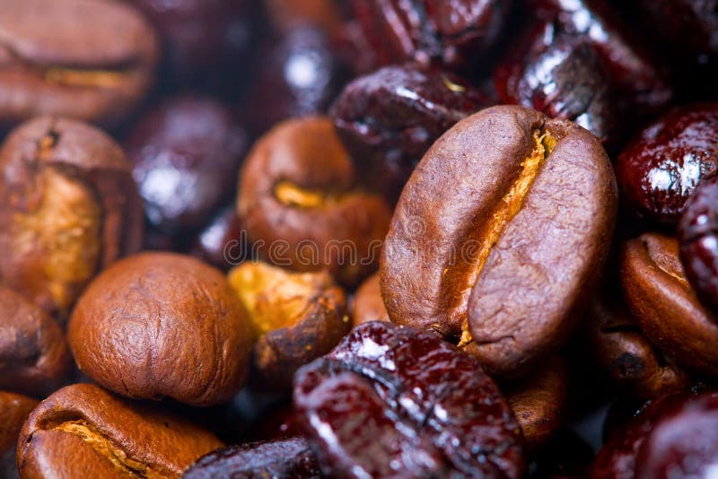Macro of coffee beans
