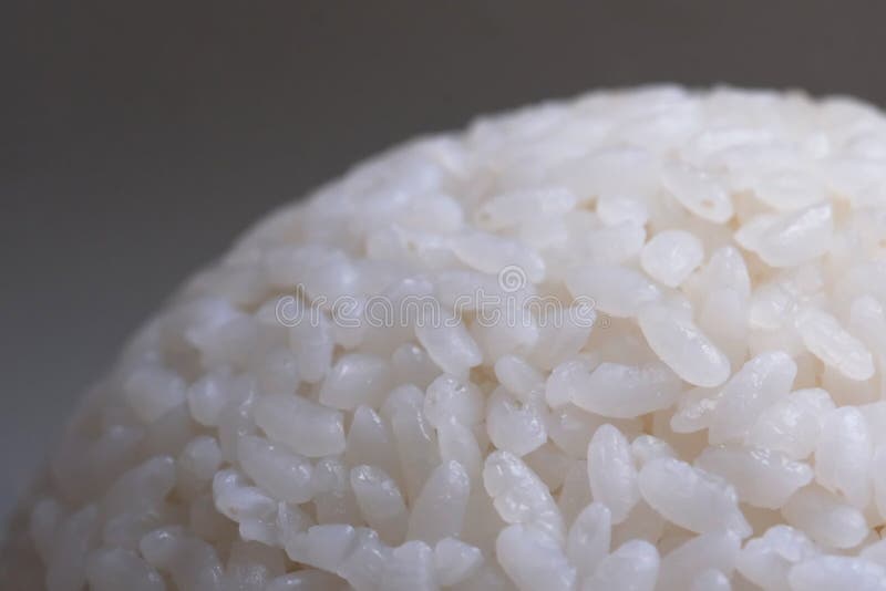 Close Up Cooked Steamed White Rice Stock Photo Image of close, staple