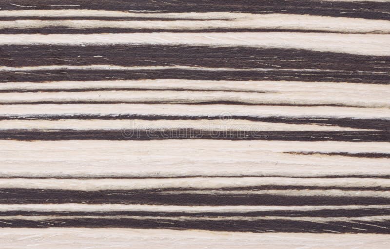 Macro da textura da madeira do zebrano
