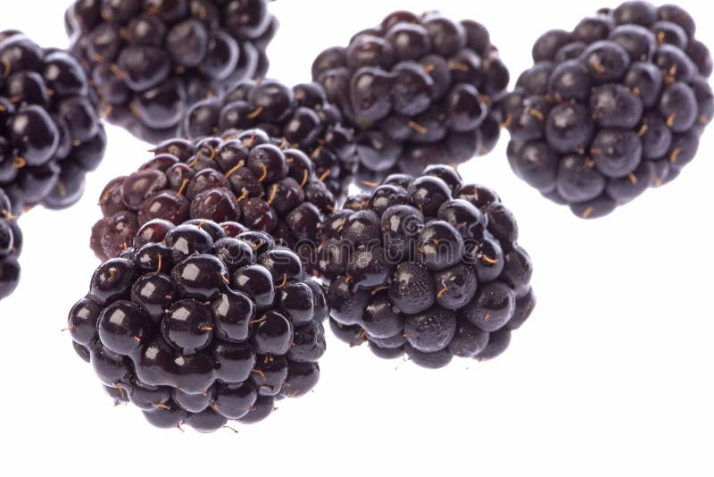 Isolated macro image of blackberries. Isolated macro image of blackberries.