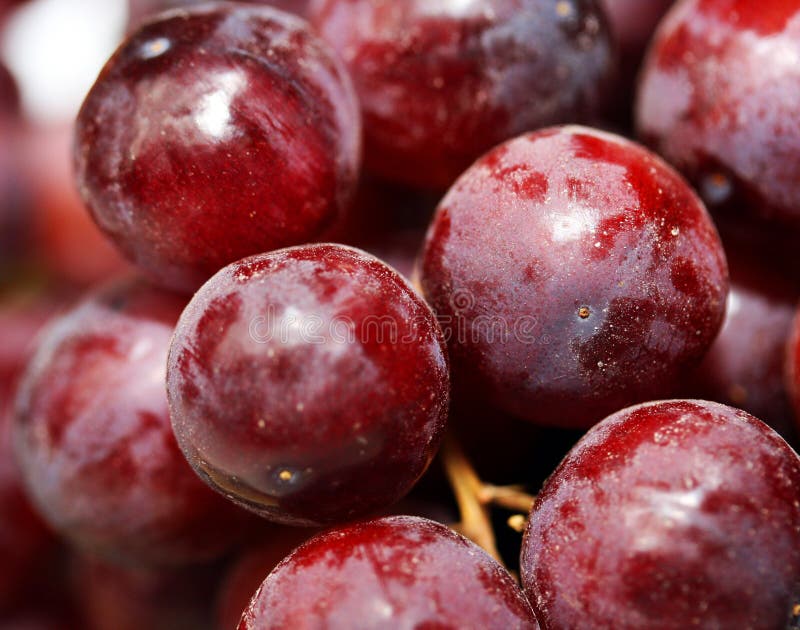 Macro de la uva roja