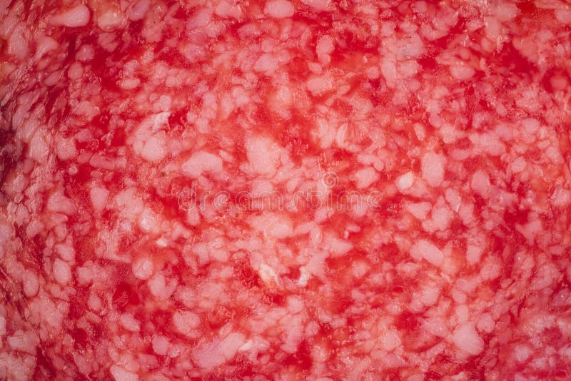 Macro detail of salami sausages slice