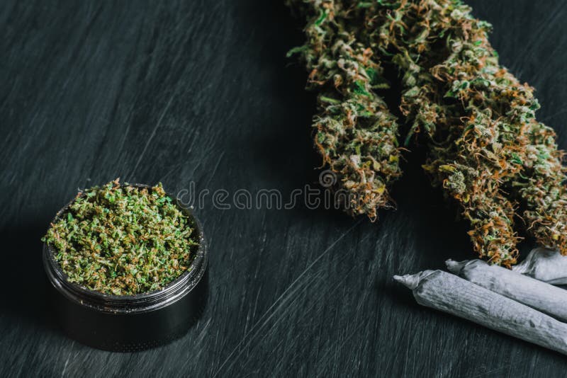 Macro di marijuana con i tricomi e l'erbaccia schiacciata e del giunto rotolato in una smerigliatrice per lo spezzettamento canap immagini stock libere da diritti Macro di marijuana con i tricomi e l'erbaccia schiacciata e del giunto rotolato in una smerigliatrice per lo spezzettamento canap immagini stock libere da diritti