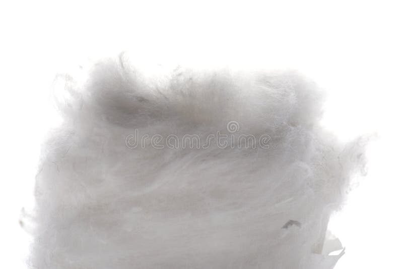 Macro do algodão absorvente fotografia de stock Macro do algodão absorvente fotografia de stock