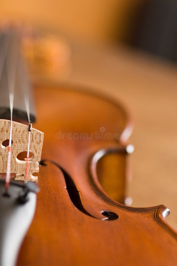 Macro do violino
