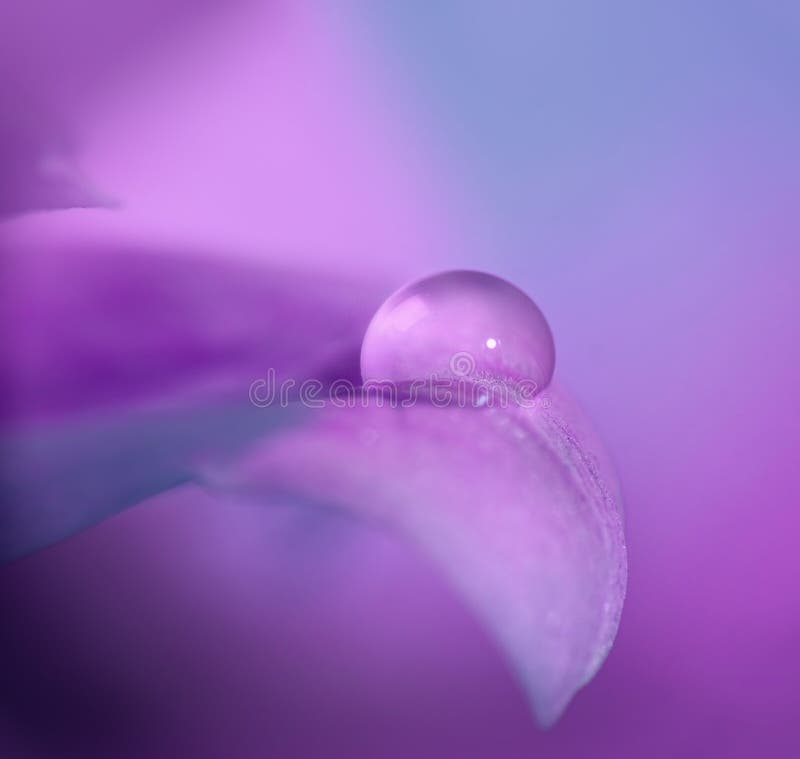 Macro drop stock images Macro drop stock images