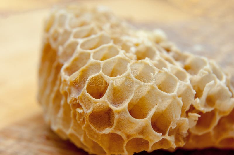 Macro of empty honeycomb on the table stock photos Macro of empty honeycomb on the table stock photos