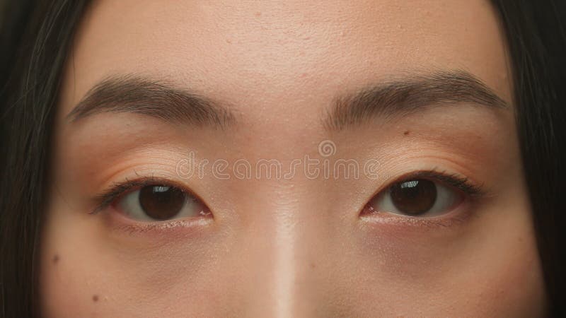 Eyelashes Adult Black 21120 Eyelashes Adult Black 21120