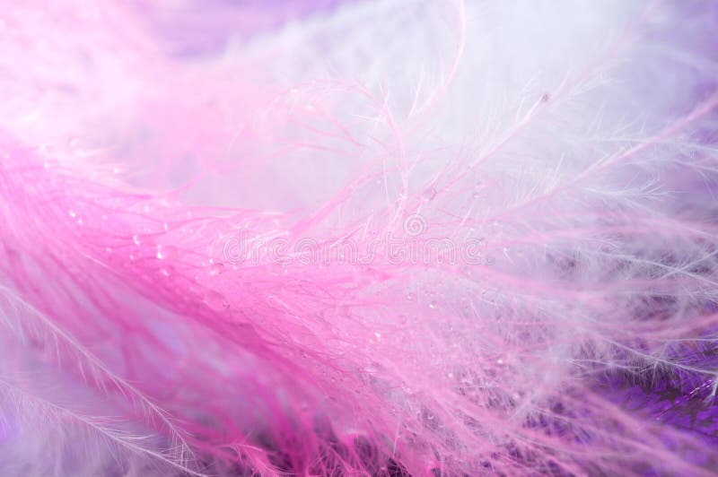 Macro feathers abstract, air, avian, background