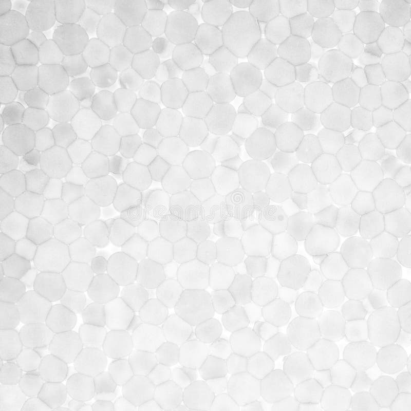 Macro feuille de mousse de texture images stock Macro feuille de mousse de texture images stock