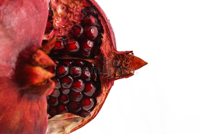 Macro fondo di bianco del melograno fotografia stock