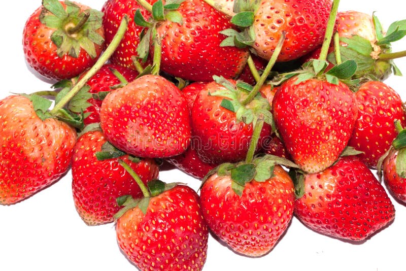 Macro Group Fresh Red Strawberry on white background royalty free stock photo