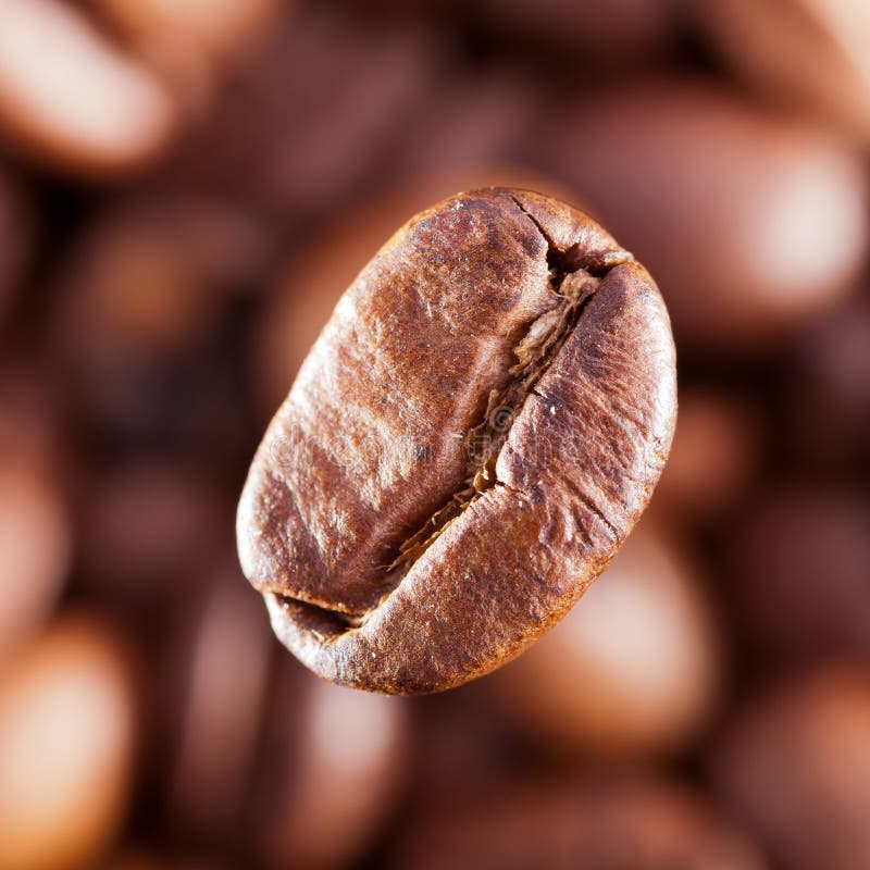 Macro image of coffee-bean