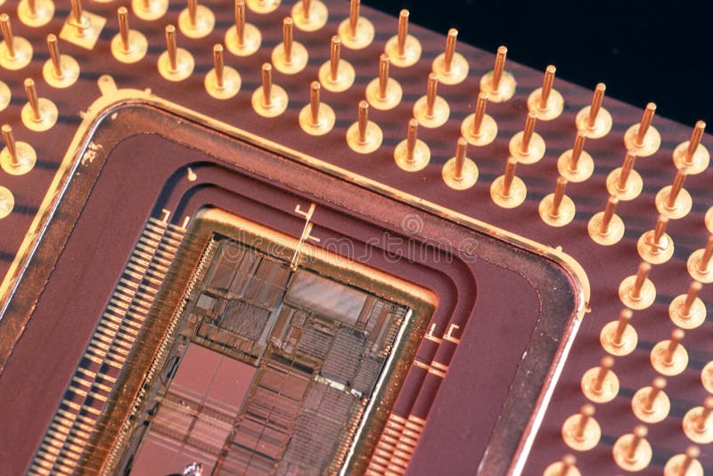 Macro Image of a Computer CPU and Array Connection Pins Stock Image