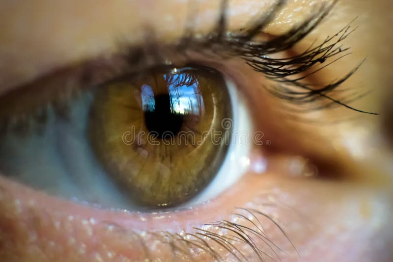 Macro image of human eye with contact lens.