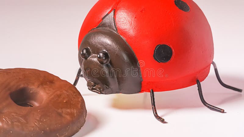270 Ladybug Chocolate Photos Free Royalty Free Stock Photos From Dreamstime
