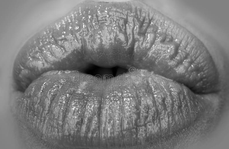 Macro Lips Close Up Woman Mouth Isolated On White Woman Lips Extreme Close Up Mouth Macro