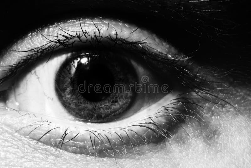 Macro masculin noir et blanc d'oeil photos libres de droits Macro masculin noir et blanc d'oeil photos libres de droits