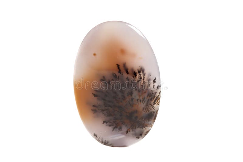 Macro Mineral Stone Moss Agate, Agata Muschiataan White Background