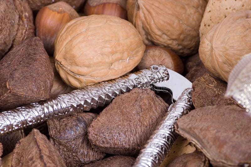 Macro nuts