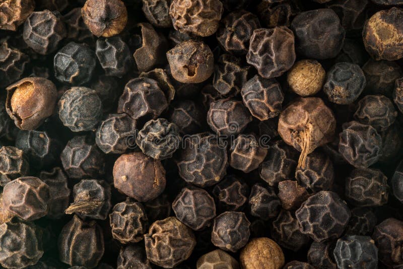 Macro Photo of Swamp Milkweed Seed Pod Stock Photo Image of seed