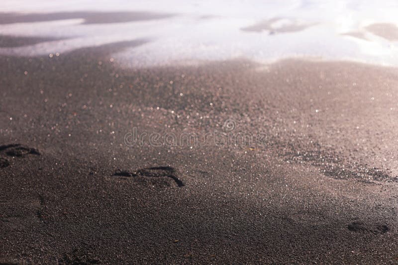 Macro Photo of Black Sand. Volcanic Sand Stock Image Image of