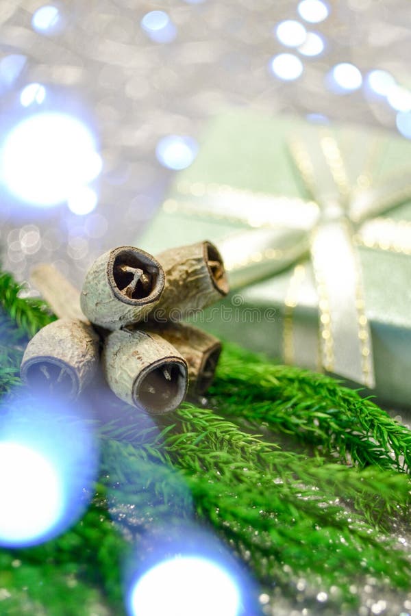 Macro photo concept. Dry branch eucalyptus fruit, seeds, mint gift box with ribbon, green christmas fir tree royalty free stock image Macro photo concept. Dry branch eucalyptus fruit, seeds, mint gift box with ribbon, green christmas fir tree royalty free stock image