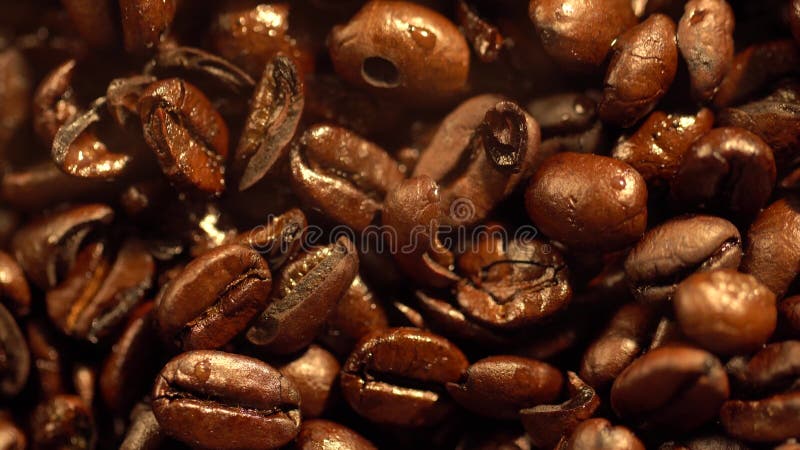 Macro photo de tasse avec café chaud sur grains de café torréfiés en 4k banque de vidéos