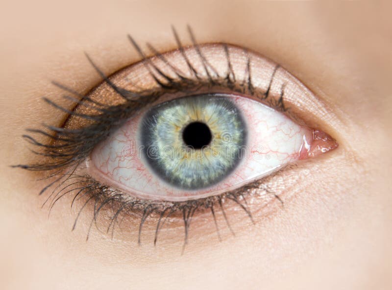 Macro photo of a female eye stock photos